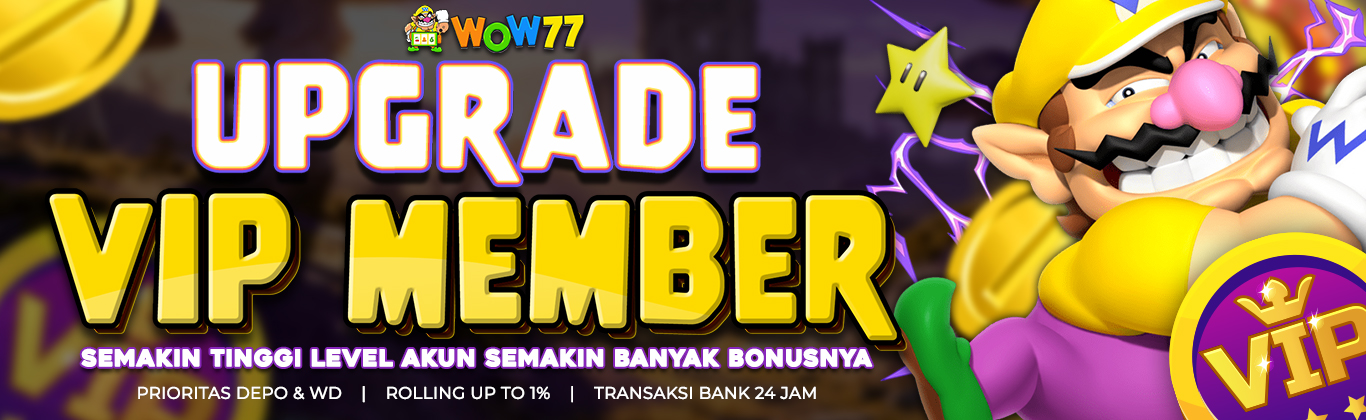 VIP MEMBER
